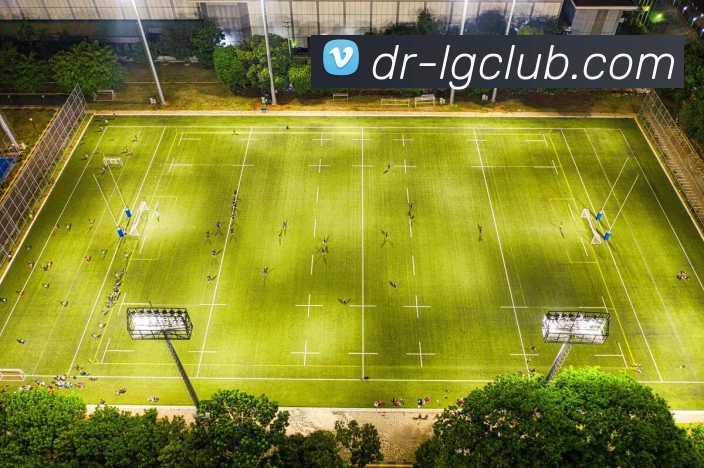 老哥俱乐部官网平台生态图